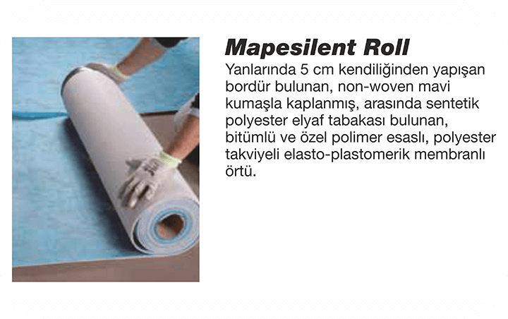 ses-yalitimi